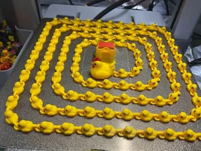 Mamá gallina y su desfile de pollitos
